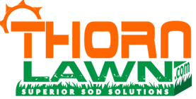 Thorn Lawn